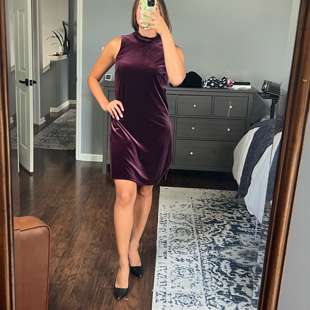 Plum Velvet Dress - Picture 5 of 12